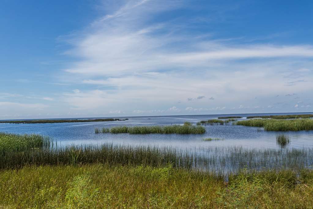 Travelodge Suites By Wyndham Lake Okeechobee Servizi foto